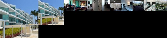 Area Ocean Flamingos