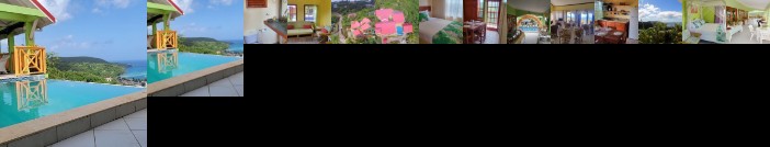 Tropical Paradise View