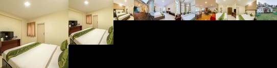 Treebo Trend Whispering Meadows