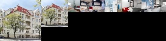 Dream Team Zamoyskiego