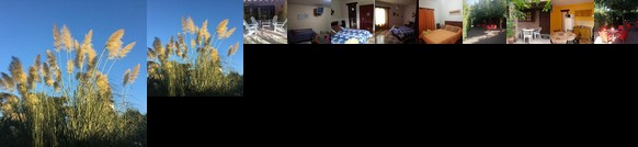 Algarrobos del Mirador