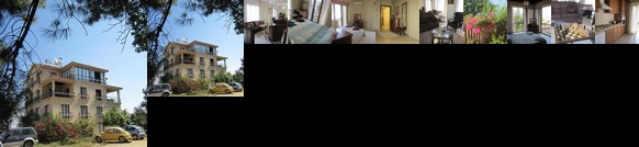 Amazing dubleks flat at Nicosia