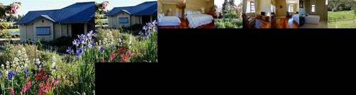 Windermere Homestead