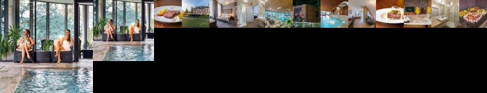 Wellness & Spa hotel Villa Regenhart