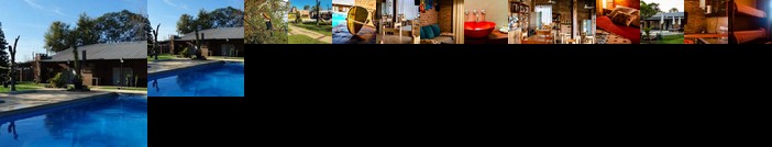 Cabanas Solar del Paso