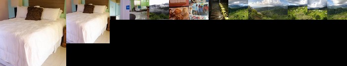 Matthew's Miracle View