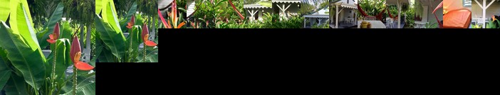 Un bungalow dans mon jardin fleuri