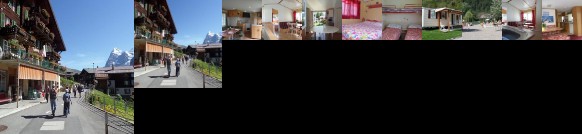 Altogold Swiss Holidays At Manor Farm 5