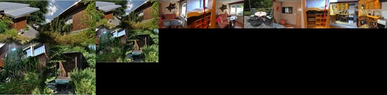 Ferienhaus WaldLuftIn