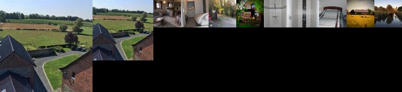 Le champ des oiseaux