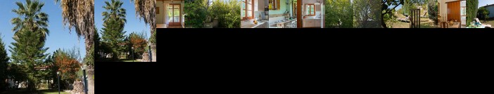 Villa Fenia in Nea Makri