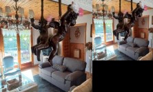 Villa El Mirador y El Nogal