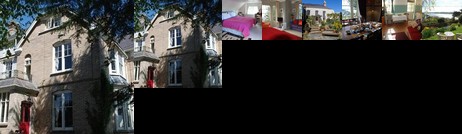 Springfield House Appledore