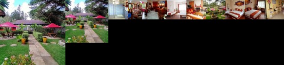 Penguin House Mount Kenya National Park