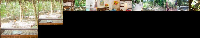 Nature Retreat with Healing Dogs in Brazil