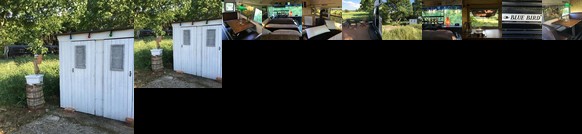 Butch The Bus - Auszeit im Schulbus