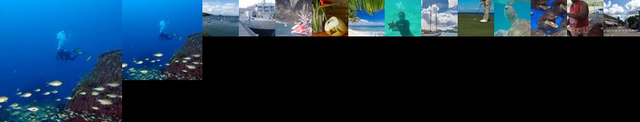 Appart Bleu Caraibe Bord de Mer