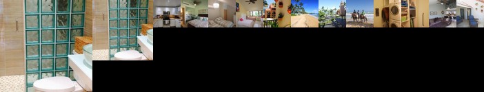 Paradise Found Buena Vista