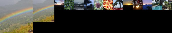 Hawk's Nest Bed & Breakfast Coronado