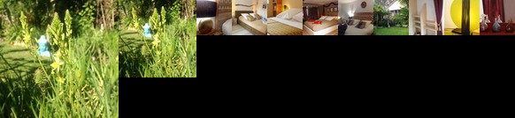 Maison d'hotes L'ilot bambou