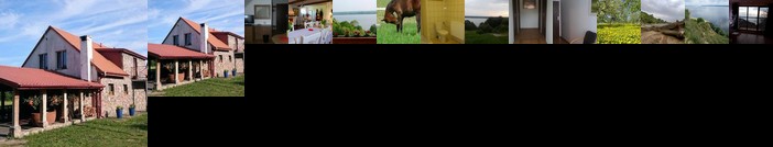 Pod Zachrypnietym Kogutem