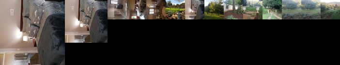 Clydesdale on Lions River