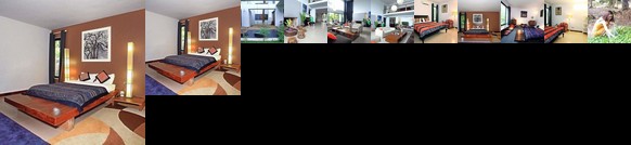 Madam Dieu Hao - H2H