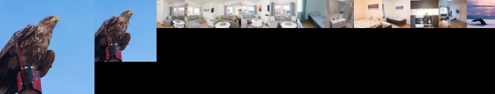 Ellingsen Apartment - Falcks gate