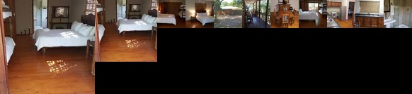 Joyful Magical & Zesty