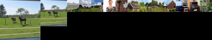 Gastenhuis de Veenstraal