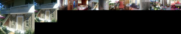 Homestay - Travel in Bunga Matahari Indonesia