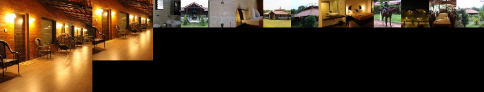 Shangri La Jungle Resort