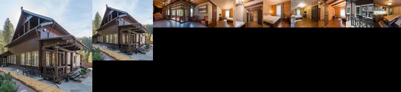 Leontopodium Teletskoye