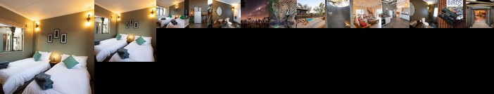 Antares Bush Camp & Safaris