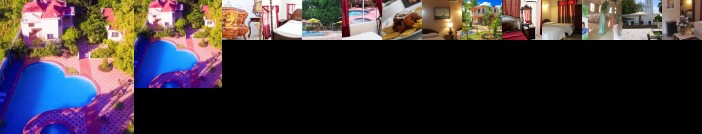 Villa Mimosa Port Salut