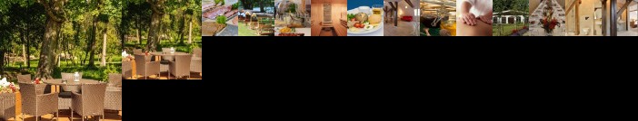 Stary Mlyn Strzeszyn - Soft All Inclusive