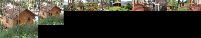 Itambira Island Seeds of Hope