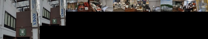 Tsuyama Central Hotel Annex