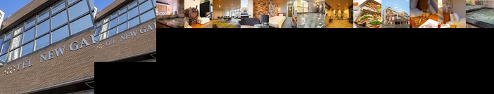 Hotel New Gaea Iizuka