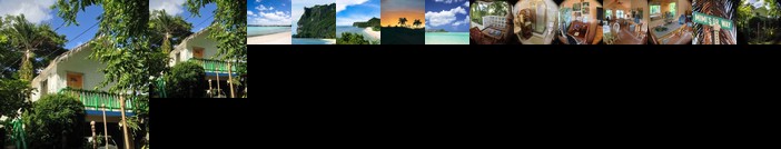 Jungle Bed & Breakfast