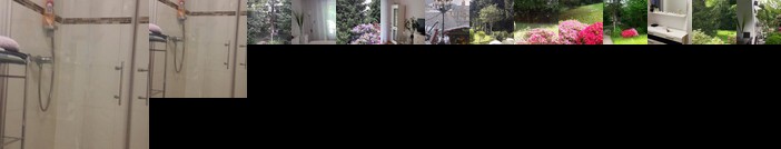 At the Turgenev Villa Apartment