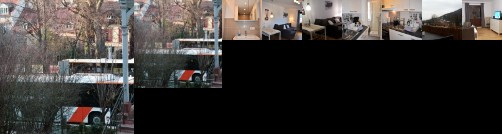 Altstadtblick Heidelberg