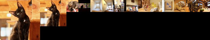 Nekokura Hostel