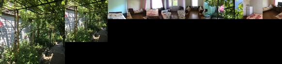 Guest House Vatutina 6