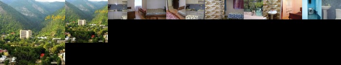 Guest House Besarioni