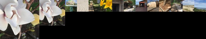 Guest house Kurshskaya kosa