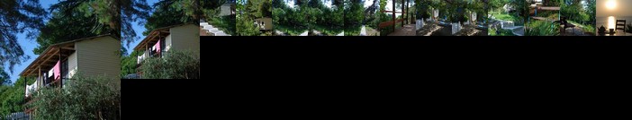 Sosnovyij Bor Gostevoj Dom