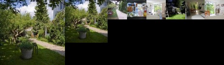 Achter het witte huis