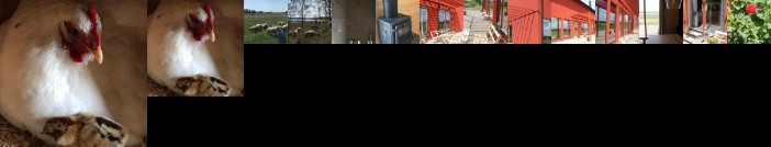 Lindeborgs Eco Retreat