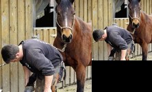 Appartement mit Blick in die Natur - Mowennest 24